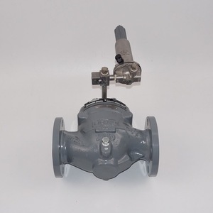 Vanne de réduction de pression Fisher Ezr 1/2 pouce pour eau à température normale USA - Product Image 4