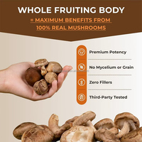 Poudre de champignons ultra fine Maitake Chaga Cordyceps Reishi Lions Mane, extrait, complément alimentaire à base de plantes pour adultes