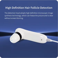 Vaporisateur électrique USB de haute qualité pour soins capillaires, prix d'usine, avec analyseur de cheveux pour salon de coiffure