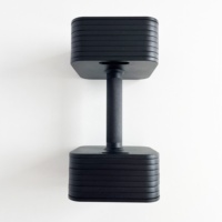 Équipement de fitness professionnel tout métal acier Gym poids libres 12kg 24kg 36kg haltères carrés en acier ensemble d'haltères réglables