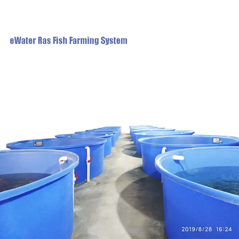 陸上養魚場向けのRAS再循環養殖システムと屋内養殖機器