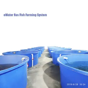陆基养鱼场的RAS循环水产养殖系统和室内水产养殖设备