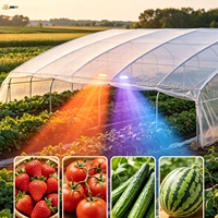 Film de serre pour la conversion de la lumière, idéal pour les saisons à faible luminosité – Fournisseur pour la culture de fraises, tomates et légumes en usine