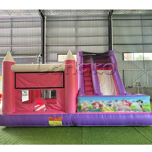 Bán buôn trẻ em <span class=keywords><strong>Inflatable</strong></span> Combo trượt lâu đài khô castillos inflables nhảy bouncy lâu đài <span class=keywords><strong>Bouncer</strong></span> trượt - Product Image 4