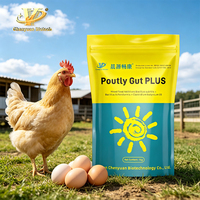 Poutly Gut PLUS Probiotique Animal Additif Alimentaire pour l'Élevage de Volailles Pondeuses