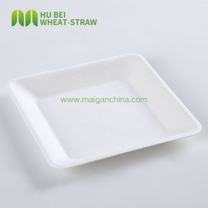 <span class=keywords><strong>Assiette</strong></span> à dessert en bagasse de canne à sucre 6x6 pouces, sans PFAS, écologique, jetable, <span class=keywords><strong>carrée</strong></span>, pour gâteaux, OEM - Product Image 2