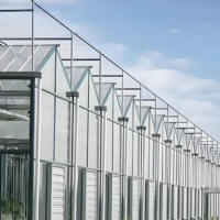 Serres agricoles multi-spans en verre de type Venlo à prix de gros pour la culture de tomates