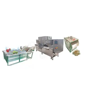 Apple Banana Potato Corn Fruits Chips Production Line