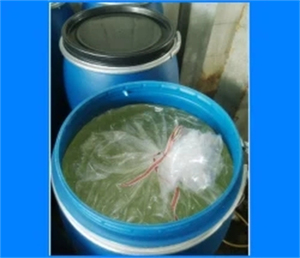 SLES - Product Image 6