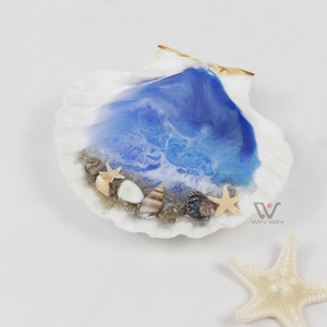 <span class=keywords><strong>Petit</strong></span> coquillage mélange minuscule coquille de mer Lot plage mariage décor coquillages pour artisanat résine époxy océan mer vague conception - Product Image 5