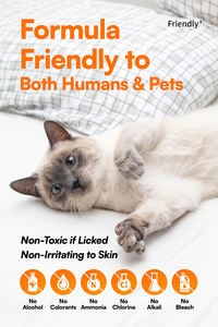 Détachant anti-odeurs pour forte enzyme d'odeur éliminateur d'odeurs pour animaux de compagnie pour la maison chats <span class=keywords><strong>chien</strong></span> pipi <span class=keywords><strong>chien</strong></span> <span class=keywords><strong>destructeur</strong></span> d'urine tapis chat tache Spray - Product Image 5