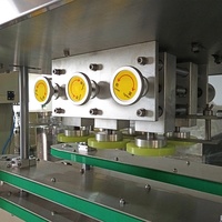 Machine de remplissage automatique de liquide de remplissage d'embouteillage de nettoyeur de type gravité anticorrosif pour la machine de remplissage de liquide corrosif de blanchiment