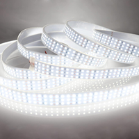 Bande lumineuse LED flexible ultra-lumineuse 30MM blanc lumière du jour 6000K DC12V24V, dimmable, SMD 2835, trois rangées, 360 LED, lumière intelligente