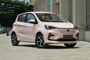 Changan Benben E-star Full Electric 2026 5 portes 5 places Hatchback Smart Mini Benben E Star Voiture Électrique - Product Image 4