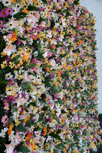 <span class=keywords><strong>Pas</strong></span> <span class=keywords><strong>cher</strong></span> 10ft jaune décoration de mariage soie <span class=keywords><strong>artificielle</strong></span> <span class=keywords><strong>fleur</strong></span> <span class=keywords><strong>mur</strong></span> panneau de tissu fond faux fleurs <span class=keywords><strong>mur</strong></span> - Product Image 5