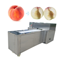 Automatische Avocado-Destonermachine Perzikzaadverwijderaar Putmachine
