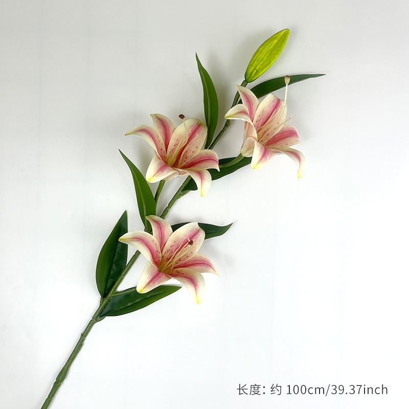 แกนสีส้มแดง