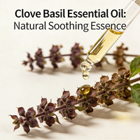 Huile Essentielle de Basilic Bio 100% Pure en Gros, Huile Parfumée de Clou de Girofle et Basilic, Vente Directe des Fabricants, Huile de Basilic Sacré 8015-73-4
