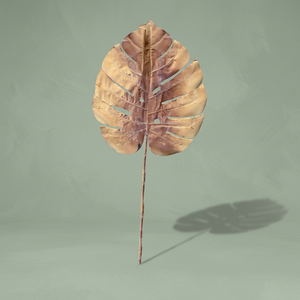 Feuille de Monstera artificielle sèche marron AFF-Bunch-4.4 - Product Image 3