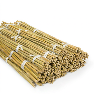 Best Selling 2026 Natural Raw Bamboo Whole Stick Supporting Flower <b>Garden</b> Use Eco-friendly Flexible High Quality 0.5-1m Length - Product Image 1