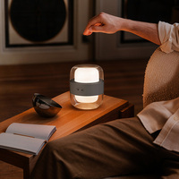 Lampe de chevet flexible sans fil rechargeable, écologique, lumière d'ambiance, lumière de nuit RGB, intensité réglable, style moderne simple, pour intérieur