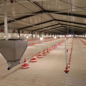 Équipement pour volaille viande volaille équipement pour poulets de chair poulailler ferme avicole - Product Image 6