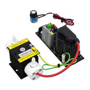 CE FCC ROHS Producto patentado 1 G/H 1 gramos 1000mg tubo de cuarzo ajustable fabricante generador de ozono sauna de vapor de ozono portátil - Product Image 3