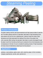 Automatische Stoomschilmachine Voor Fruitgroente Knoflooktomaten Cassave Aardappelen Kernpomp Aardappelschilsnijmachine
