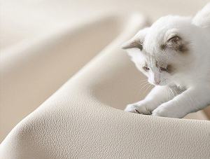 <span class=keywords><strong>Canapé</strong></span>-lit de luxe moderne, design <span class=keywords><strong>d</strong></span>'hôtel, éponge haute densité, coussin modulaire doux - Product Image 3