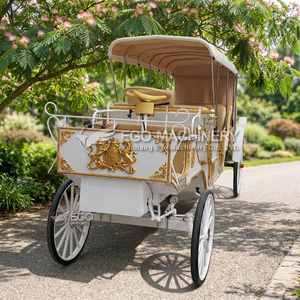 Voiture de tourisme électrique type Victoria à prix d'usine, transport spécial, carrosses de mariage et de tourisme à vendre - Product Image 2