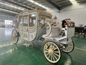Carrozza a cavallo per matrimonio elegante carrozza per matrimonio indiano principessa Buggy per famiglie reali - Product Image 2