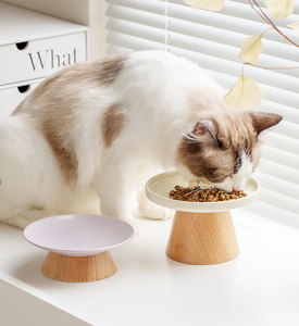 Bol <span class=keywords><strong>pour</strong></span> animaux de compagnie en bois de céramique fendu solide élégant bol antidérapant incliné surélevé support en bois bol en céramique de nourriture <span class=keywords><strong>pour</strong></span> <span class=keywords><strong>chat</strong></span> et chien - Product Image 5
