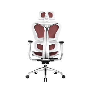 Silla de Oficina Ergohuman con Base de Aluminio y Ruedas de PU, Respaldo Alto, Silla Ergonómica Ejecutiva con Elevación, Diseño Moderno - Product Image 5