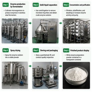 Bêta-amylase de qualité alimentaire 700000 U/g Préparations enzymatiques pour la production de sirop de <span class=keywords><strong>maltose</strong></span> - Product Image 6