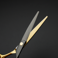 Ciseaux de coiffure professionnels haute performance CGX 6,0 pouces, kit de ciseaux de barbier HSS-034