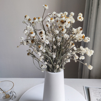 Bestseller Konservierte Getrocknete Silber-Chrysanthemenblüte Natürliche Französische Weiße Pflaume für Hochzeitsdekoration