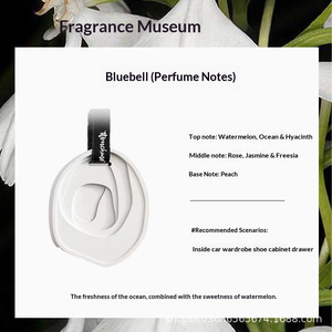 Al por mayor Placa de yeso para aromaterapia DIY, Piedra difusora de fragancia para colgante, con fragancia duradera, de yeso aromatizado con aceite - Product Image 4