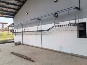 Linea di Produzione Automatica per Macellazione di Polli Intero per Spazi Ristretti - Product Image 6