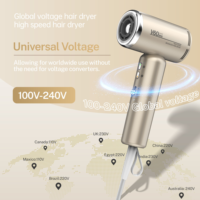 Sèche-cheveux professionnel portable YX-V60 Mini haute vitesse 1200W avec moteur sans balais, ions négatifs, double tension 100-240V