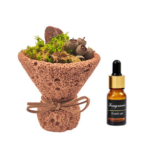 Nordic Forest Volcanic Rock Aroma <b>Diffuser</b> Preserved Moss Dry Plant Scent Oil Kit Mild Long Lasting Bedroom Indoor Air Freshener - Product Image 6