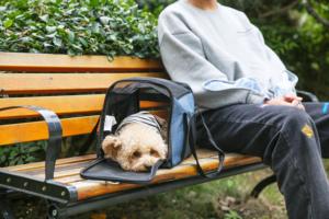 Borsa da trasporto per animali domestici da esterno con doppio manico, borsa da viaggio portatile per cani e gatti di piccola taglia, cuccioli - Ingrosso - Product Image 5