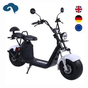 First-Class Grade Electric Scooters 2000W 25/35/45km/h Scooters Electrics
