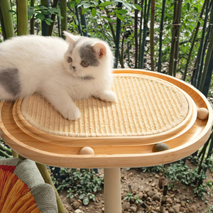 لوح خدش خشبي تفاعلي من الخيزران الفاخر ، لعبة أشجار القطط الداخلية ، كرة خدش ، كرتون معبأ بالكامل - Product Image 4