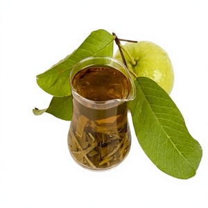 Té de Hoja de Guayaba Premium, Secado al Sol, Empaque con Cierre, Venta al Por Mayor, Calidad de Exportación, Fabricante Vietnamita, Empaque Personalizado - Product Image 2