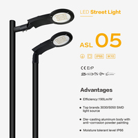 Lámpara de Calle LED ASL05 Duradera con Protección Contra Sobretensiones de 10KV, Cuerpo de Aleación de Aluminio IP67, Ángulo de Haz de 70° para Máxima Longevidad