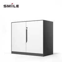 Gabinete de Almacenamiento CHNSMILE OEM de Acero con Doble Puerta, Cerradura con Llave, Impermeable, 3 Niveles Ajustables y Diseño Moderno