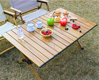 Table de camping pliable en aluminium NTOPSUN, mobilier de barbecue portable, table de pique-nique de jardin en métal