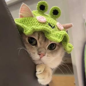 หมวกสัตว์เลี้ยงถักโครเชต์ลายดอกไม้โลลิต้าพร้อมปีกหยักสำหรับแมวและสุนัข - Product Image 4