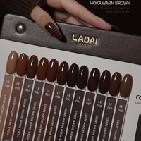 ZRKGEL – Nouvelle collection automne-hiver : Kit de gels à ongles Ladai Mocha Brown, 24 teintes, haute pigmentation, pour salons de manucure et fournisseurs de produits pour ongles (gel UV)