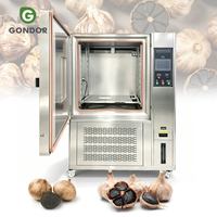Machine de Fermentation Commerciale Japonaise Entièrement Automatique pour l'Étuvage de l'Ail Noir, Capacité 100 Kg, à Vendre